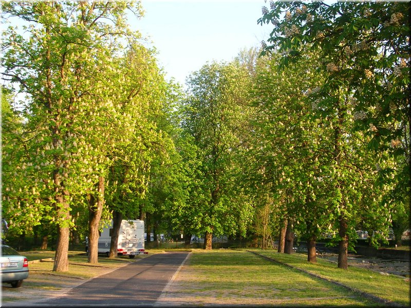 DSCN0540.JPG