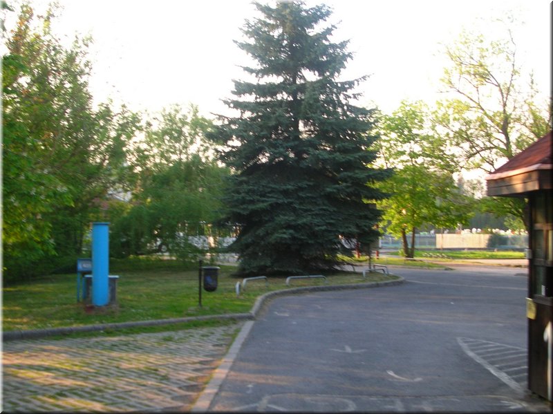 DSCN0541.JPG