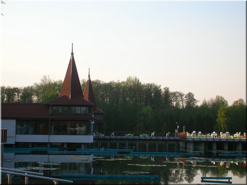 DSCN0546.JPG