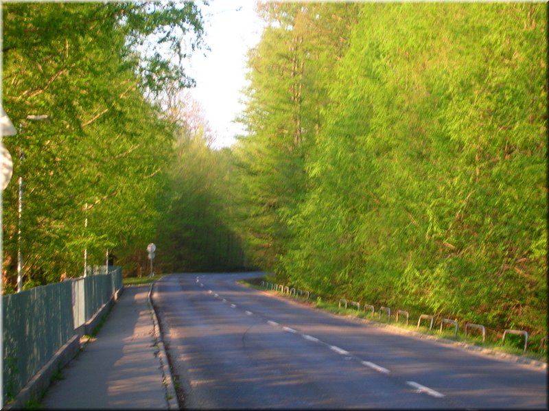 DSCN0548.JPG