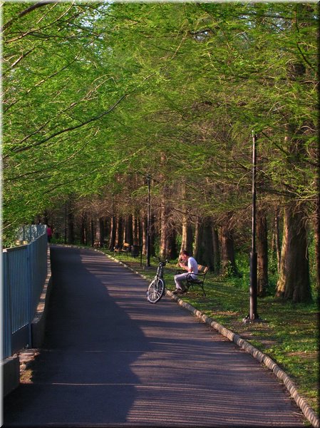 DSCN0551.jpg