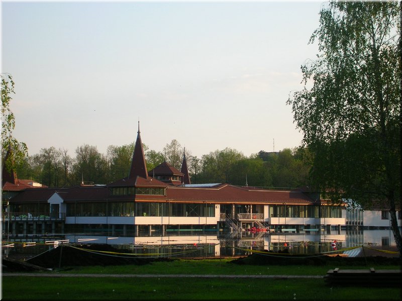 DSCN0554.JPG