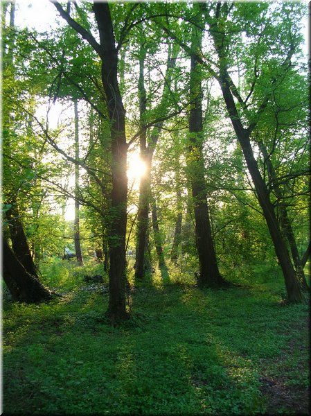 DSCN0558.jpg