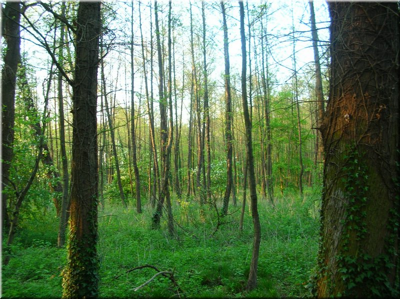 DSCN0559.JPG