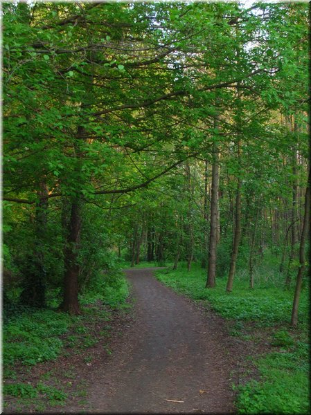 DSCN0568.jpg