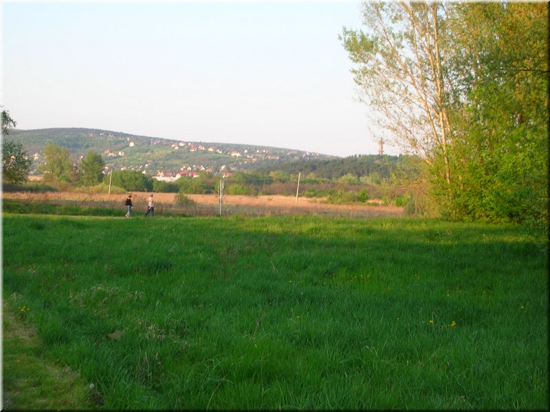 DSCN0572.JPG
