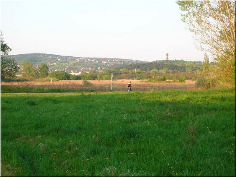 DSCN0573.JPG