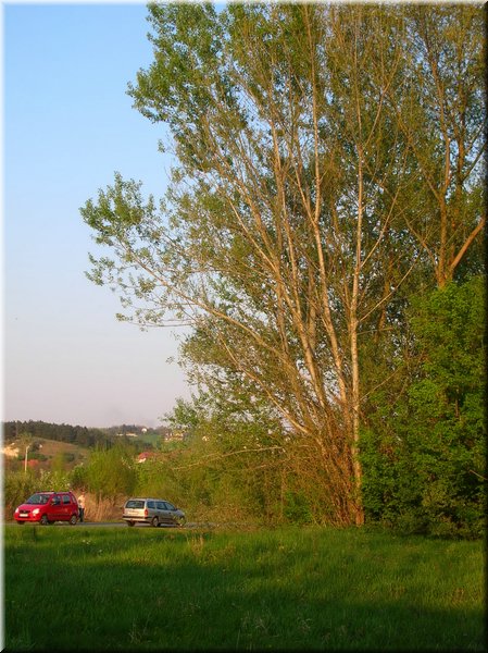 DSCN0574.jpg