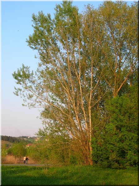 DSCN0575.jpg