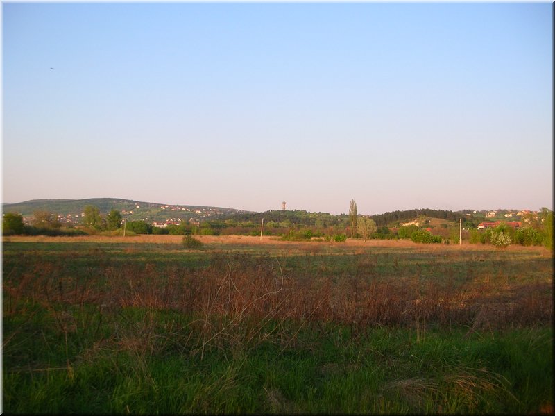 DSCN0578.JPG
