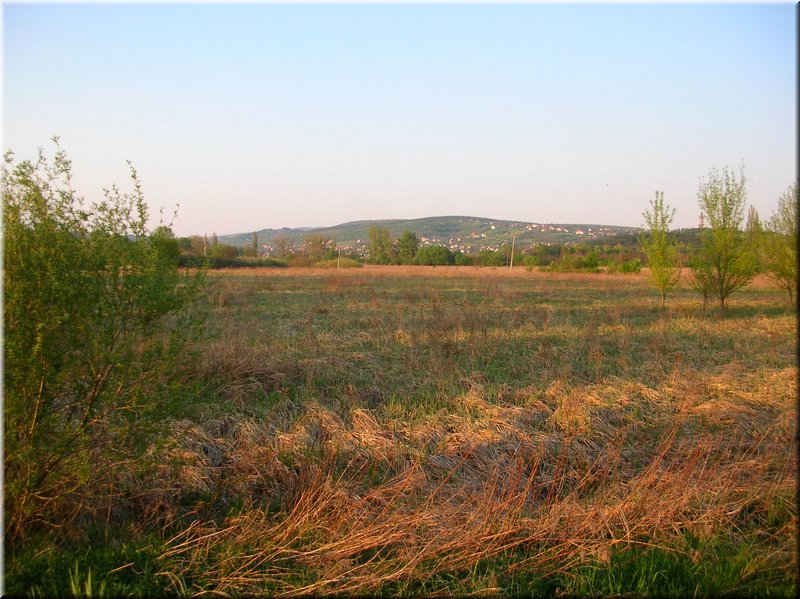 DSCN0581.JPG