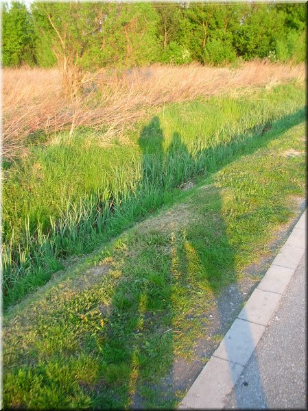 DSCN0582.jpg