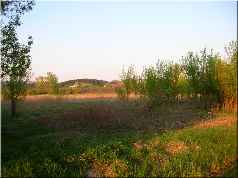 DSCN0583.JPG