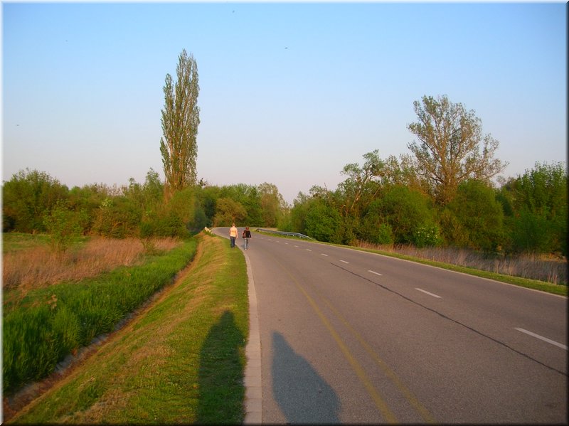 DSCN0584.JPG