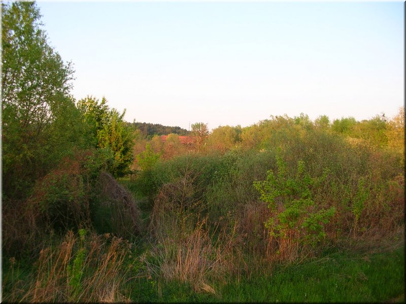DSCN0585.JPG