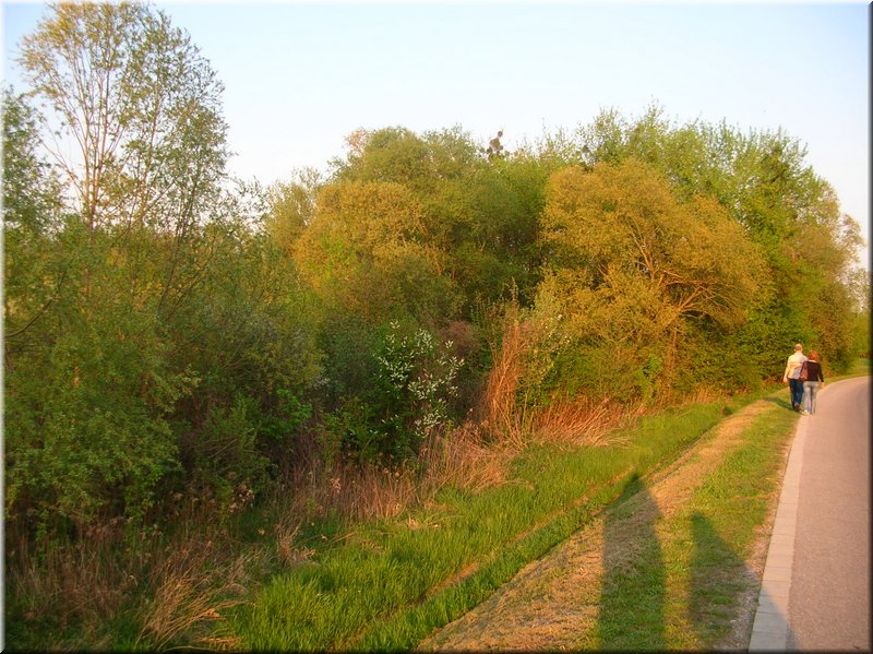 DSCN0586.JPG