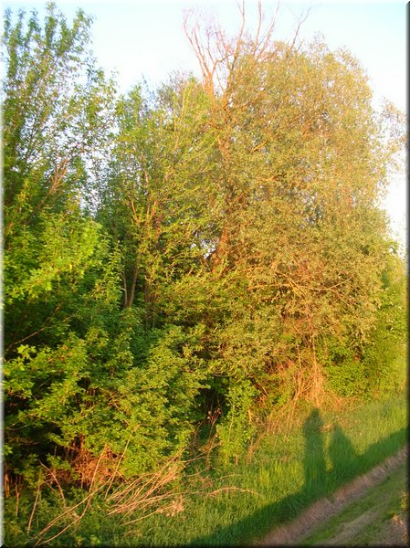 DSCN0589.jpg