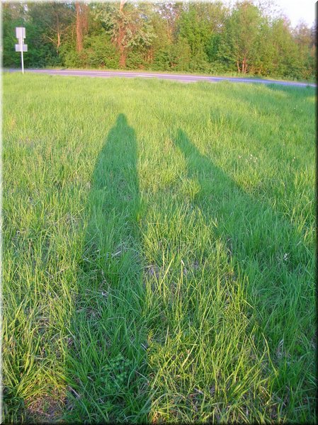 DSCN0591.jpg
