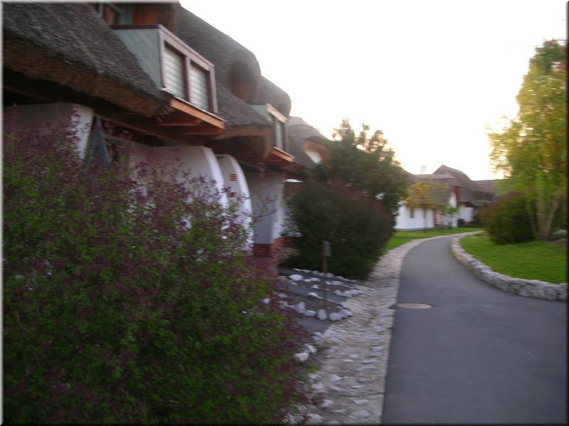 DSCN0604.JPG