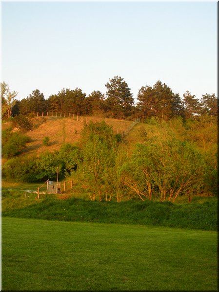 DSCN0626.JPG