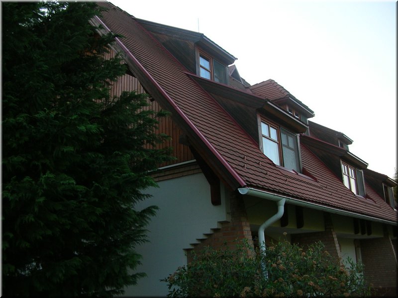 DSCN0632.JPG