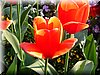 DSCN0473.JPG