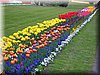 DSCN0497.JPG