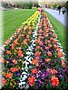 DSCN0499.jpg