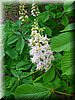 DSCN0508.jpg