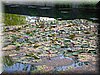 DSCN0522.JPG