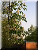 DSCN0524.jpg