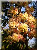 DSCN0525.jpg