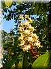 DSCN0528.jpg