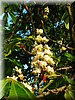 DSCN0529.jpg