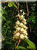 DSCN0530.jpg