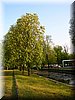 DSCN0534.jpg