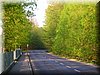 DSCN0548.JPG