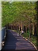DSCN0551.jpg
