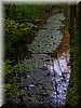 DSCN0555.jpg