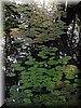 DSCN0556.jpg
