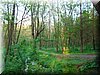 DSCN0557.JPG