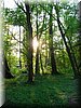 DSCN0558.jpg