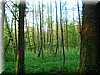 DSCN0559.JPG