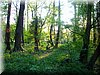 DSCN0560.JPG