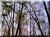 DSCN0561.JPG