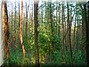 DSCN0562.JPG