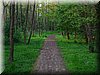 DSCN0563.JPG
