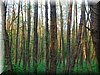 DSCN0564.JPG