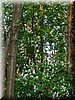 DSCN0566.jpg