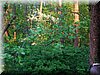 DSCN0567.JPG